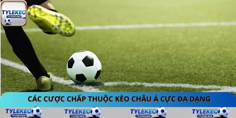Các cược chấp thuộc kèo châu Á cực đa dạng