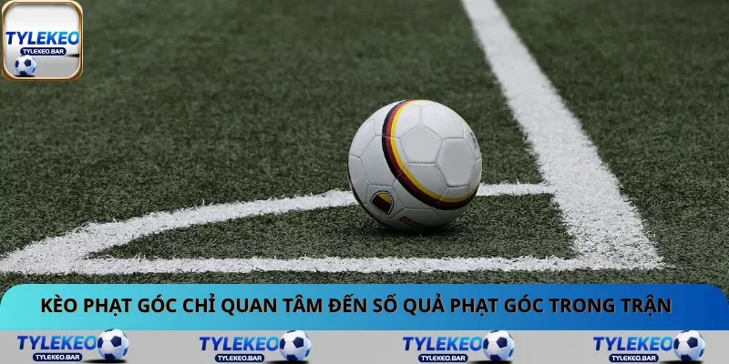 Kèo phạt góc chỉ quan tâm đến số quả phạt góc trong trận