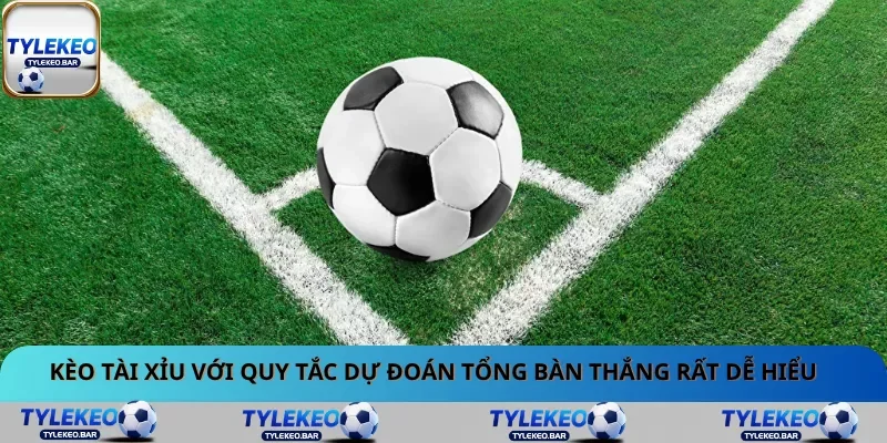 Kèo Tài Xỉu với quy tắc dự đoán tổng bàn thắng rất dễ hiểu